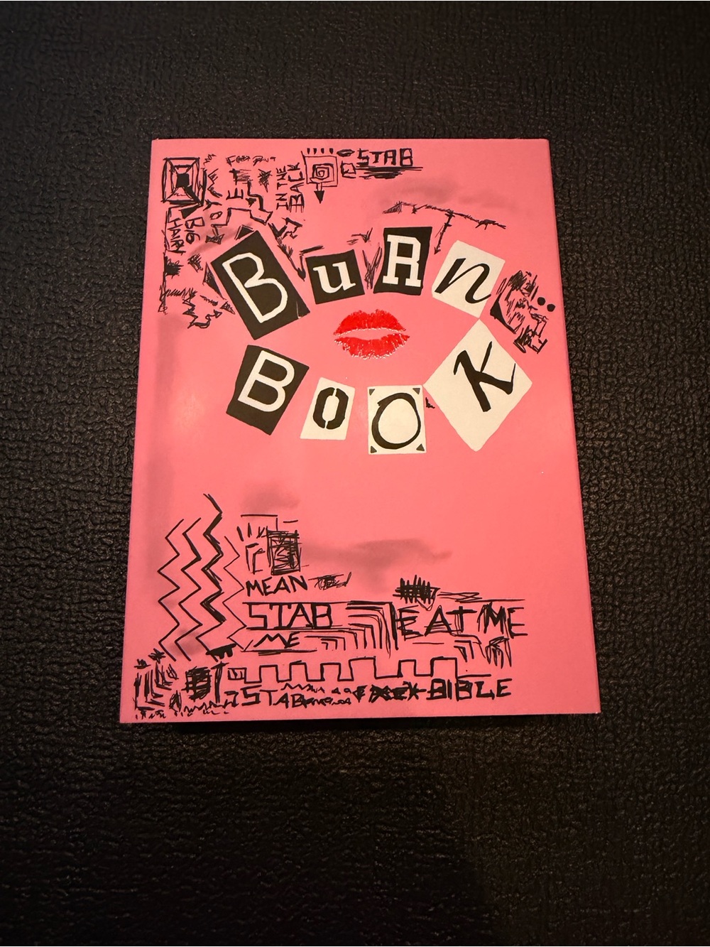 Storybook Cosmetics Burn Book Pink Eyeshadow Palette New